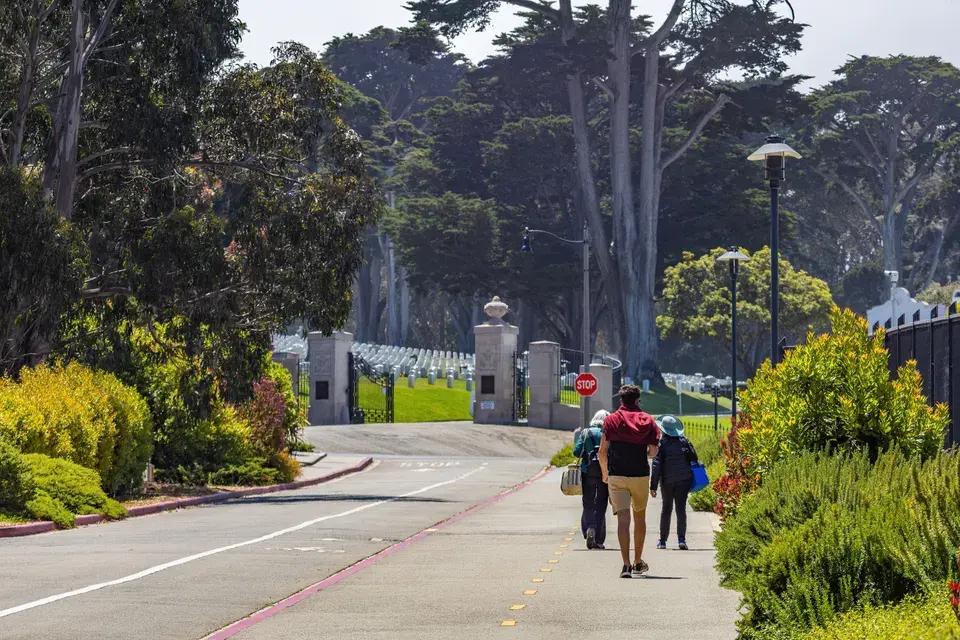 Local Expertise for Cupertino's Unique Environment — Cupertino, CA